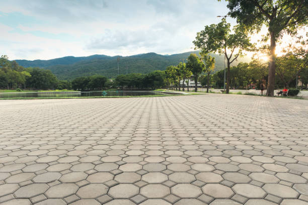 Best Driveway Paving Contractor  in Bunkie, LA